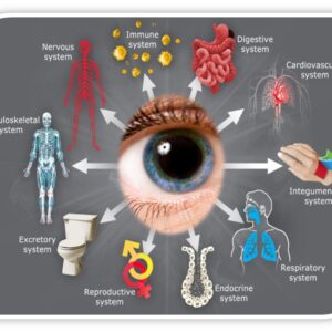 Systemic Disease and the Eye