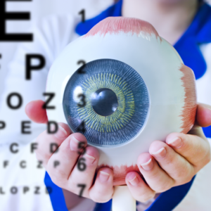 Motility Basics Simulation